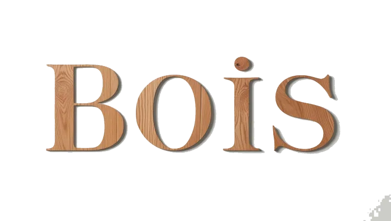 Accueil 10 bois